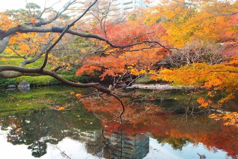 亚洲旅游日本游东京花园