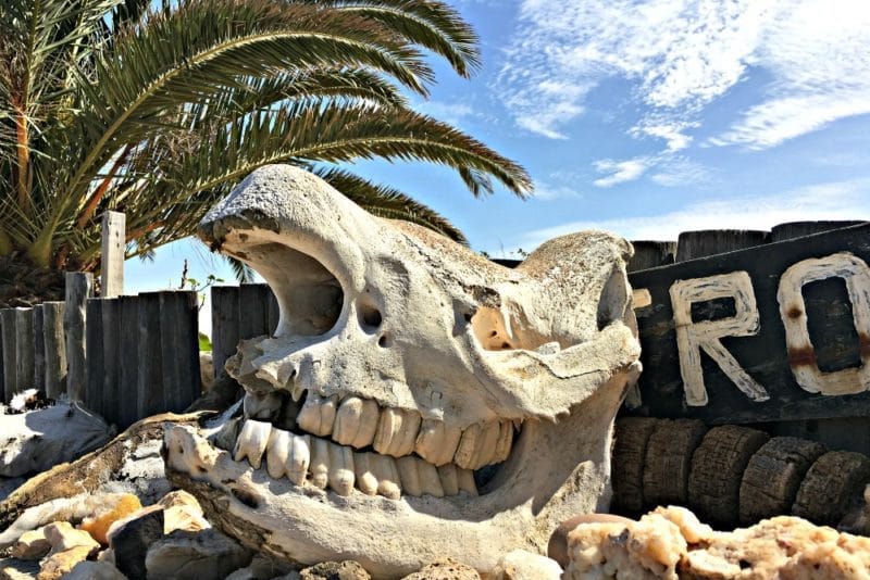 骷髅海岸头骨，非洲旅游景点之一