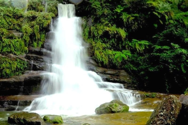 在日本的Iriomote岛进行海外探险旅行时观赏瀑布