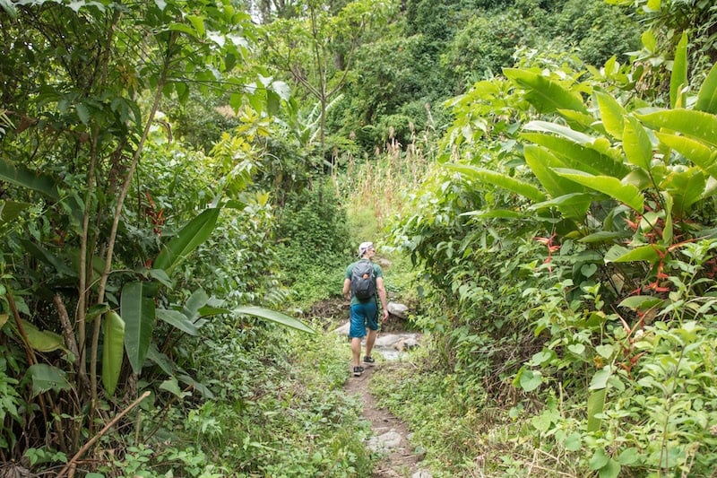 在中美洲巴拿马徒步旅行是最值得做的事情之一