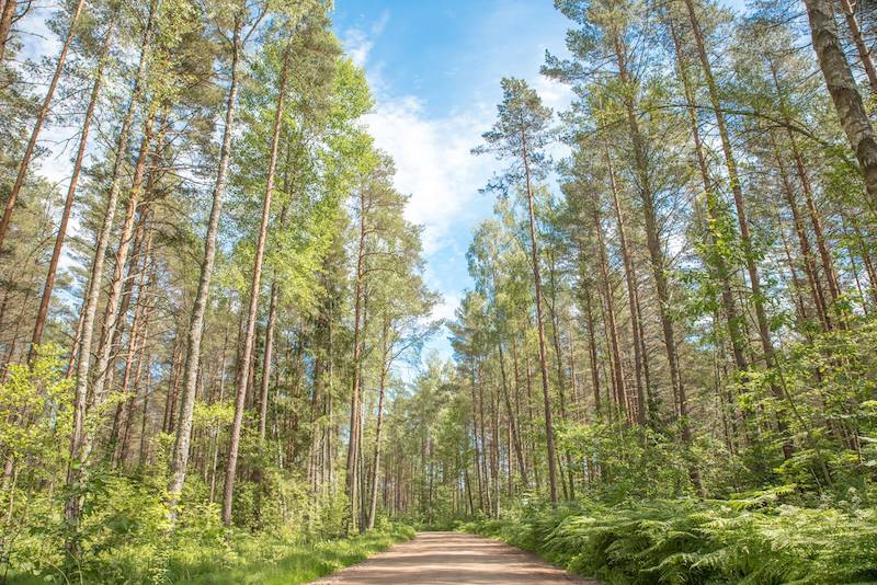 在拉脱维亚要做的事情包括参观克梅里国家公园