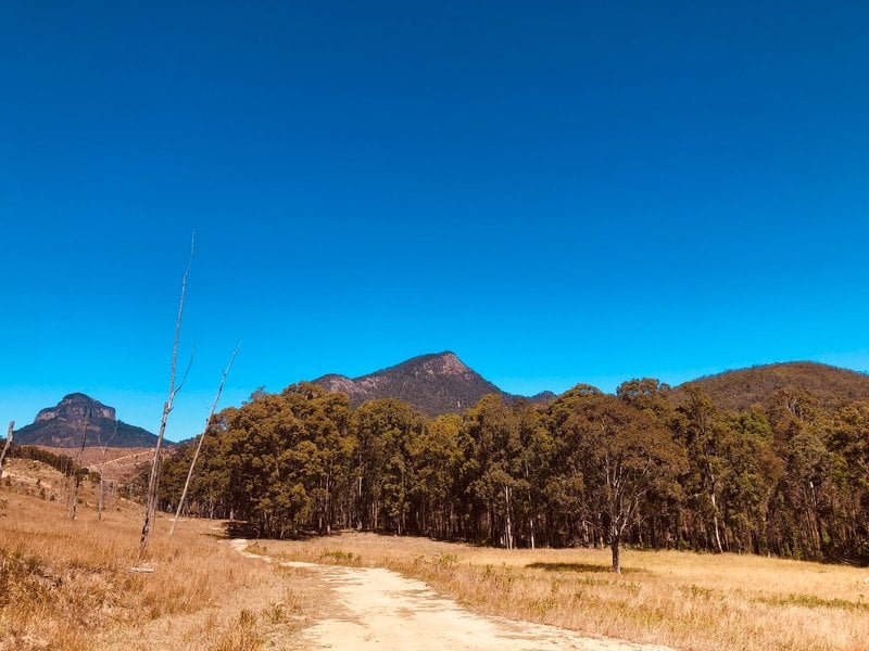 巴尼山国家公园的巴尼山是澳大利亚昆士兰最好的徒步路线之一