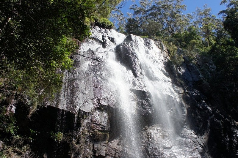 普林布鲁克国家公园的普灵布鲁克瀑布是澳大利亚昆士兰州东南部最好的徒步胜地之一
