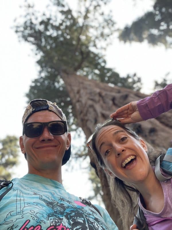 即使在红杉国家公园只有一天的时间，你也必须去参观谢尔曼将军树