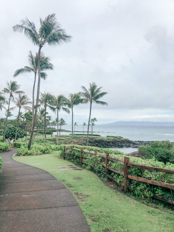 在美国夏威夷毛伊岛的沙滩上放松