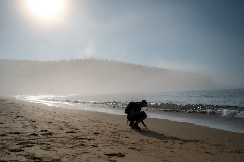 日出时分，在阿卡迪亚国家公园徒步时，沙滩上空朦胧的霞光