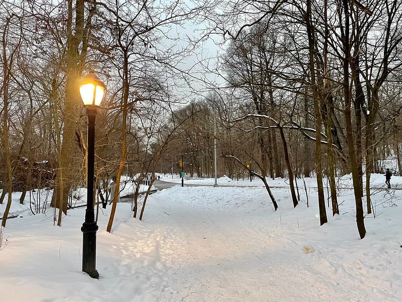 纽约布鲁克林的展望公园在冬天被雪覆盖