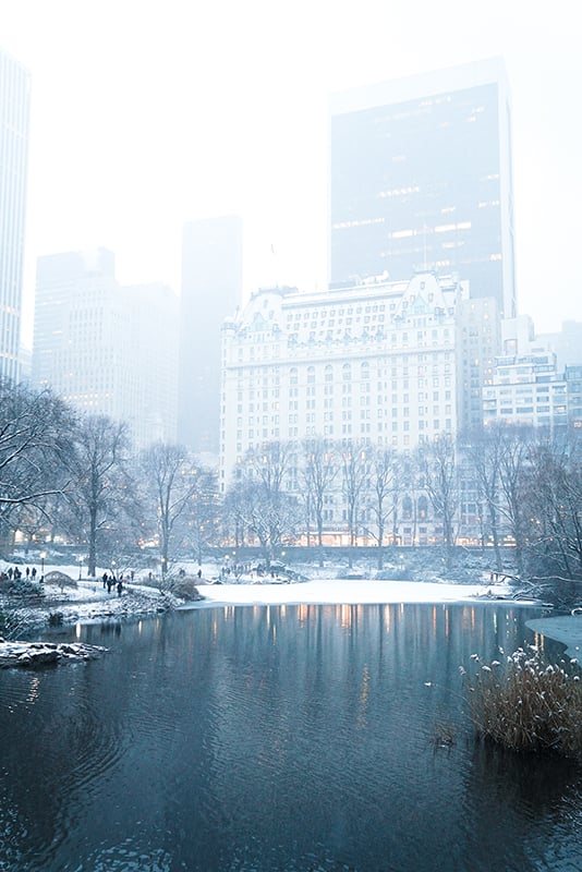 在纽约下雪的时候，中央公园是拍照的最佳地点之一