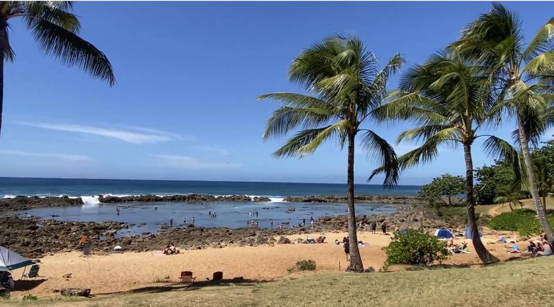 一名女子在夏威夷独自旅行时参观了一处有棕榈树的柔软沙滩